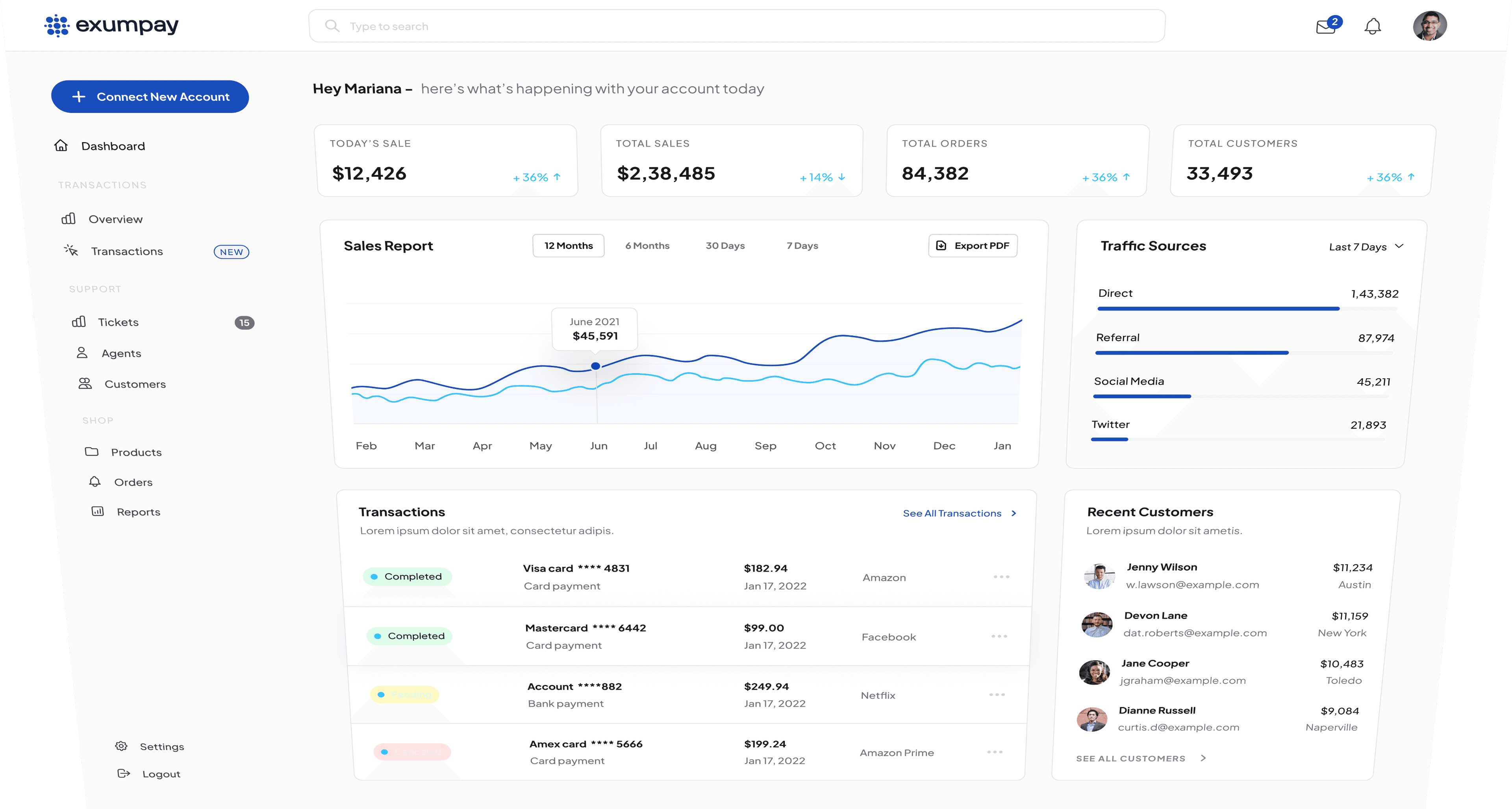 Payment Dashboard Interface